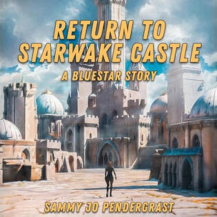 Return to Starwake Castle