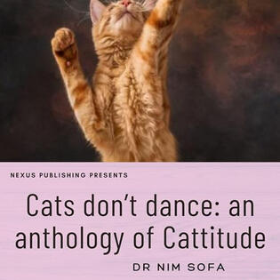 Cat&#39;s Don&#39;t Dance